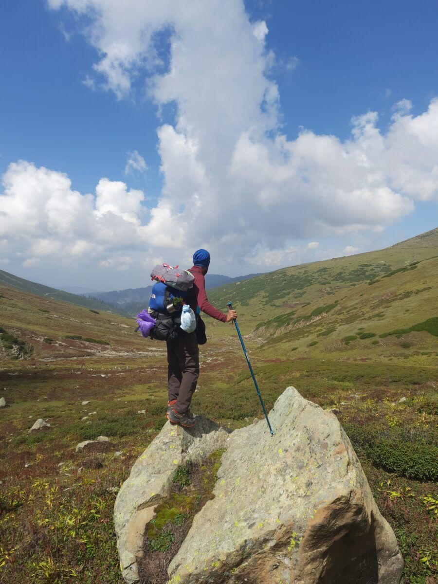 Дозволи та обмеження для мандрівників