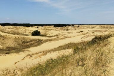 Олешківські піски