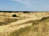 Катастрофа для екології та туризму? Чи зникнуть Олешківські піски — найбільша пустеля степової Європи