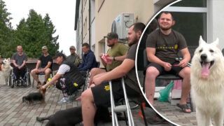 Каністерапія у Рівному