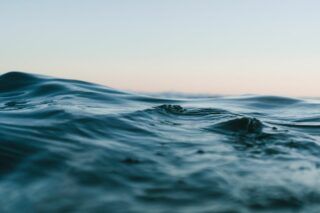 В Одесі зелене море: чи можна в ньому купатися — аналіз науковців