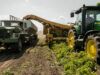 Чтобы украинские фермеры оставались в бизнесе: USAID выделяет $250 млн в поддержку аграриев