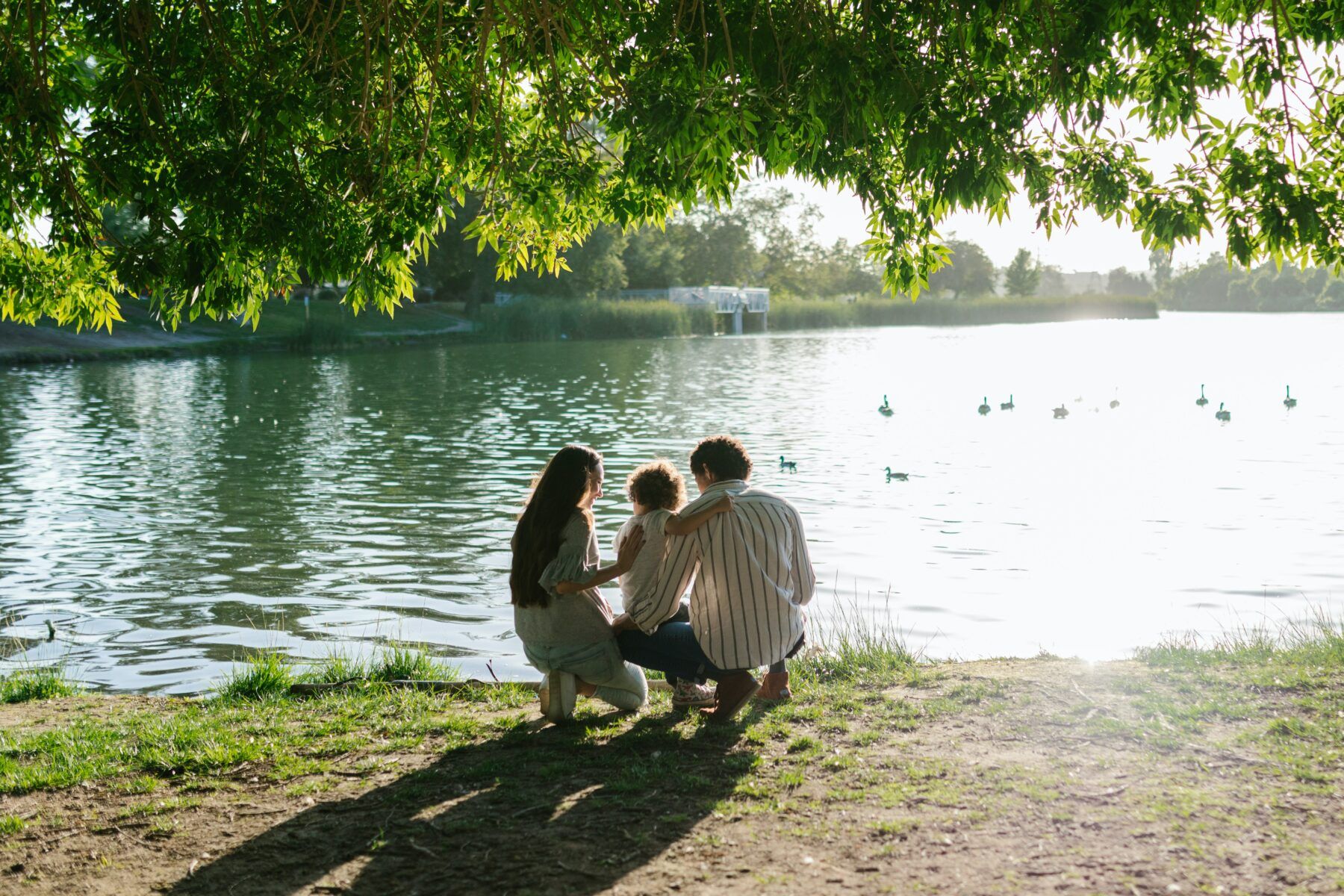 розвиток інклюзії в Україні