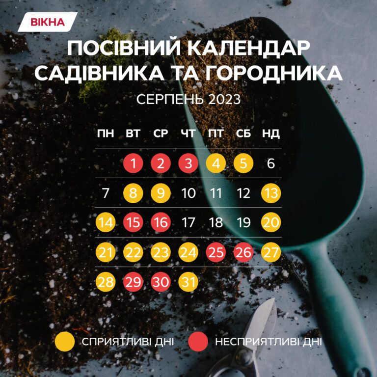 посівний календар серпень