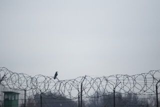 Оленівка