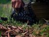 Ворог приховує свої втрати у крематорії Мелітополя: карта бойових дій в Україні 5 серпня в режимі онлайн