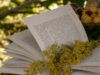 Язык звучал иначе! Как украинцы говорили до русификации правописания: интересные слова