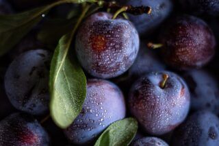 Свежие витамины на зиму: как правильно заморозить кабачки