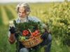 Морозы приближаются, а работы еще хватает: лунный посевной календарь садовода-огородника на ноябрь 2023