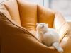 Становиться pet friendly — необходимо. Где в Украине дружественно относятся к арендаторам с животными