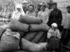 Це не було природним явищем. Причини Голодомору 1932-33 років