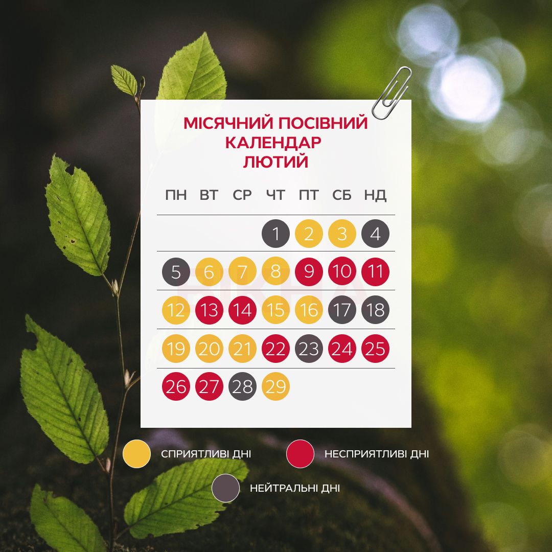 Місячний посівний календар на лютий 2024