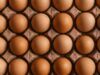Без яиц по 17 грн. Минобороны ввело предельные цены на продукты для военных — что еще изменилось