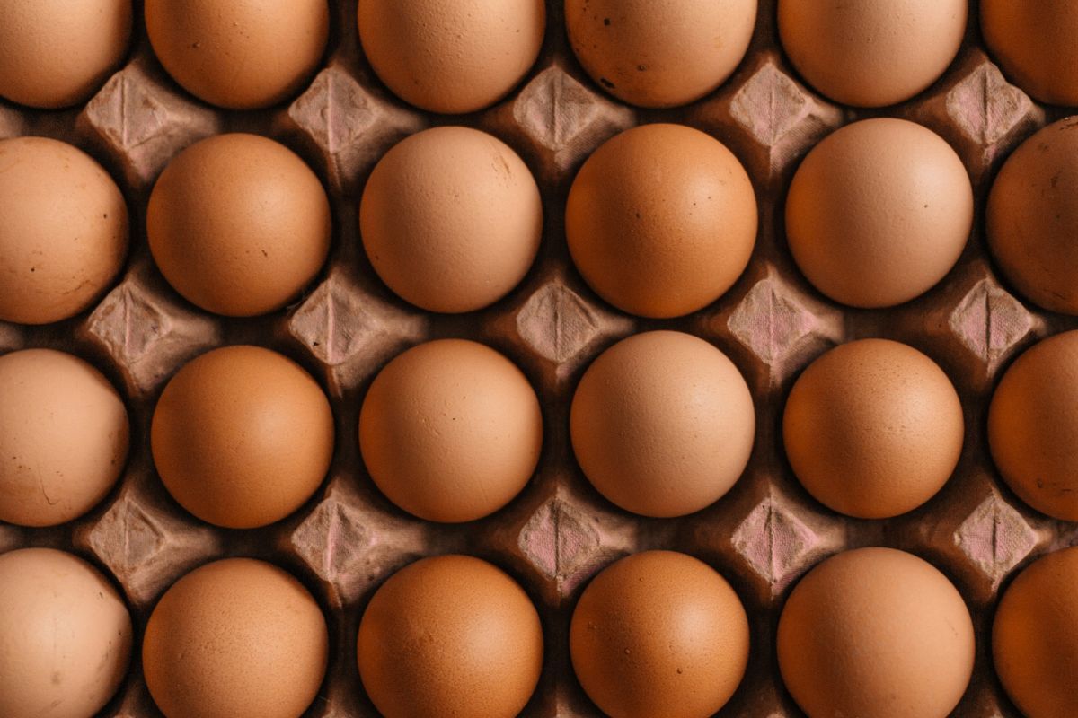 Міноборони запровадило граничні ціни на продукти: як зміняться закупівлі