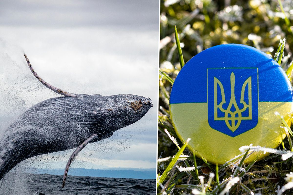 19 лютого: яке свято в Україні у 2024 році