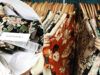 Екологічна мода — як дотримуватися sustainability та зменшити негативний вплив на природу