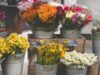 Букет на свято! Які квіти обрати на 8 березня