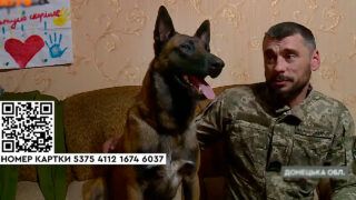 Аїд