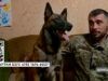 Собака — герой війни. Історія пса по кличці Аїд, який врятував життя господаря від Граду