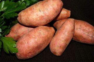 Як виростити батат в Україні