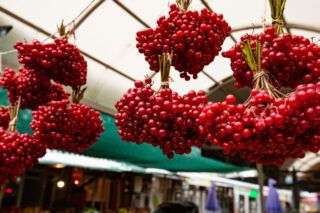 користь і шкода калини