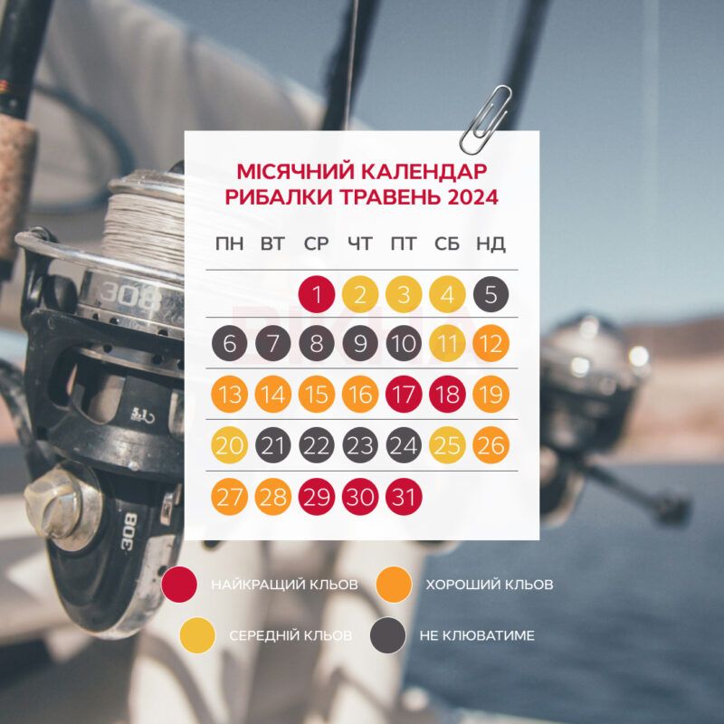 Календар риболова на травень 2024: дати, коли найкраще клює