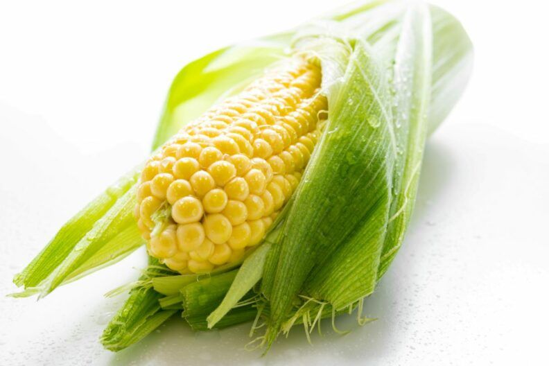 Підживлення кукурудзи по листу