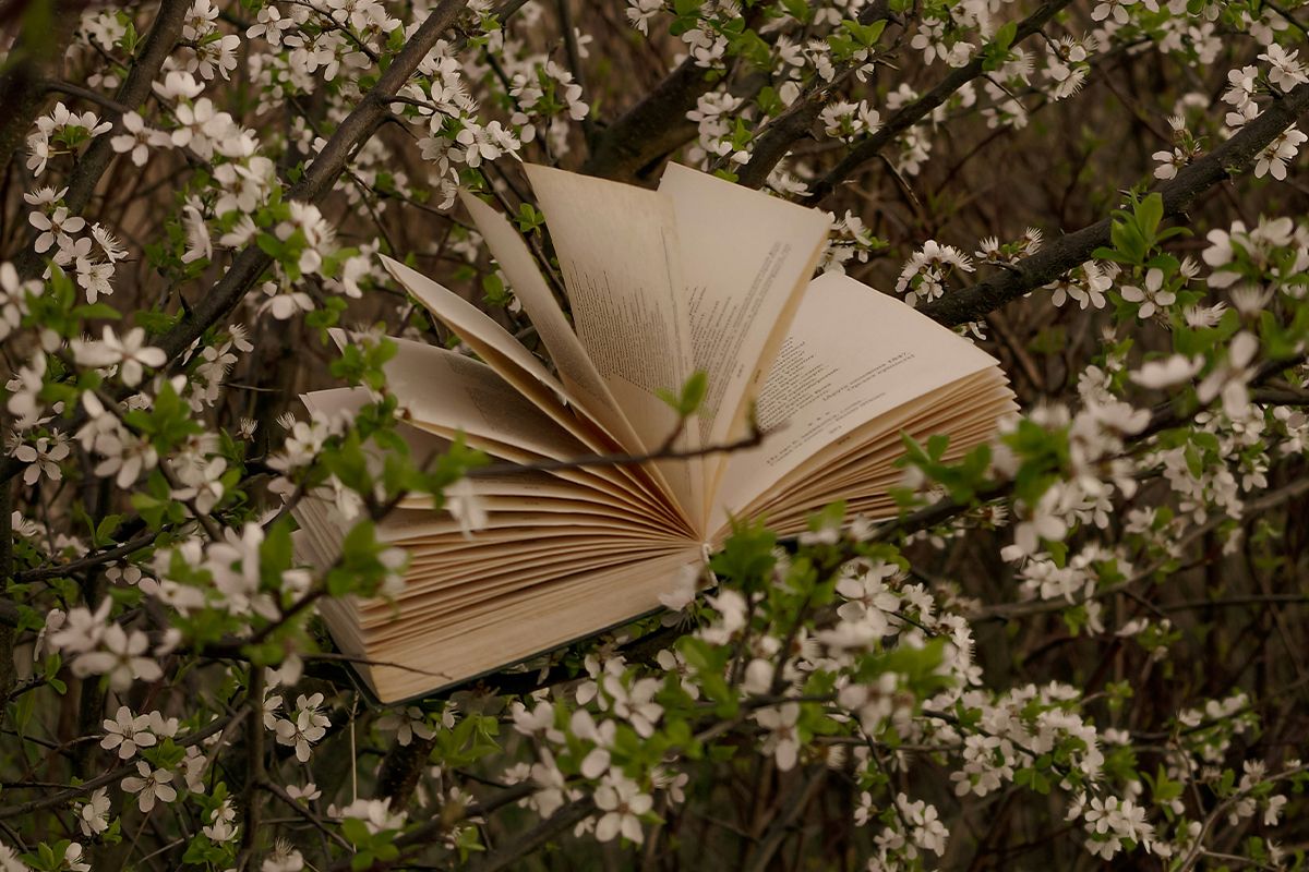 книжковий арсенал