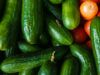 Огурцы крючком: чем подкормить растения, чтобы плоды росли ровненькими