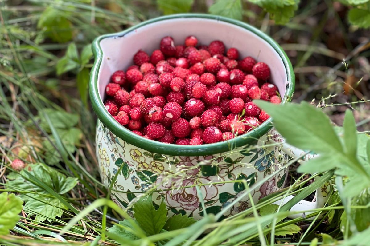 варення з суниці