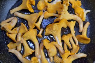 Лисички: рецепти приготування смачних страв