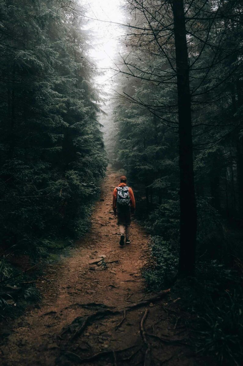 Що робити військовому після фронту