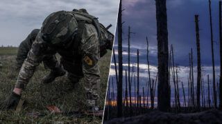 серебрянське лісництво