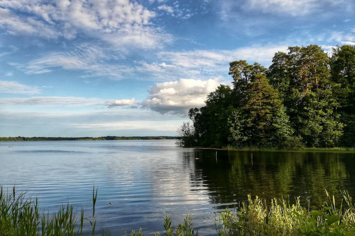 Де в Києві не можна купатися