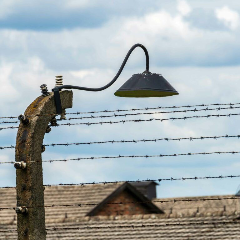Еленовка