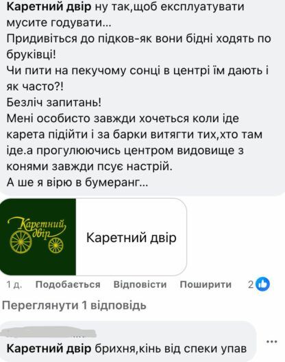 конь во львове упал