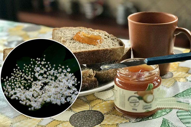 Варення з квіток бузини