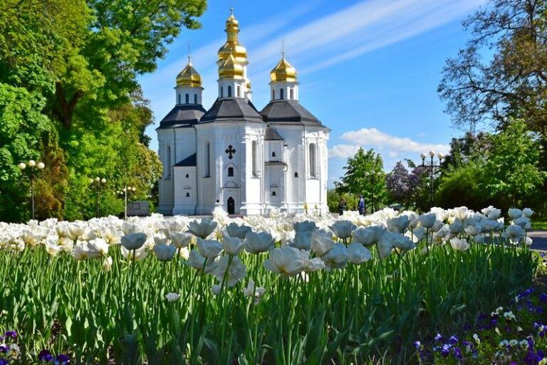 когда в чернигове день города