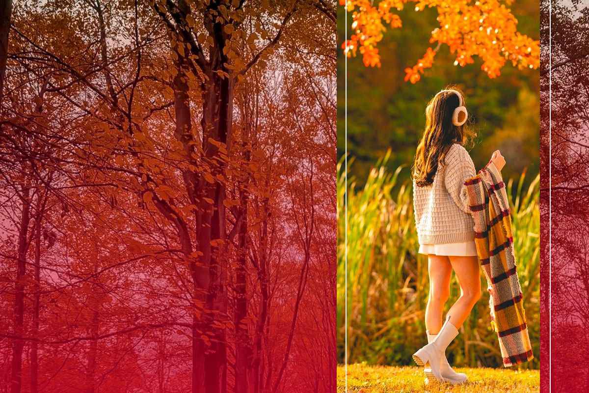 Осінні фотосесії: найкращі ідеї для яскравих фото