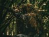 Дефицитные военно-учетные специальности: кто не подлежит бронированию во время мобилизации