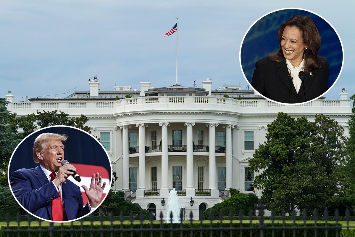 Хто переможе на виборах США 2024