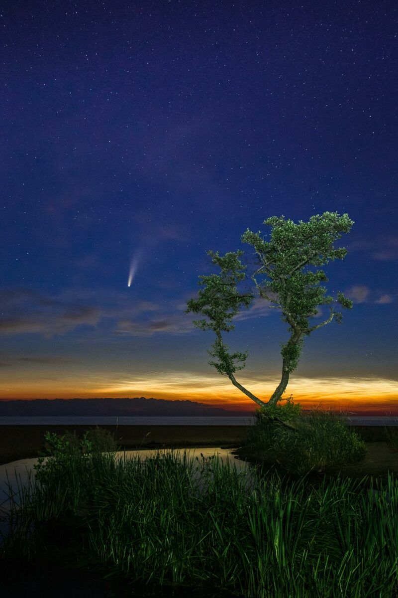 когда можно увидеть комету цзыцзиньшань-atlas в Украине