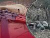 Взяли в плен и казнили: военное преступление россиян возле Селидово на Покровском направлении