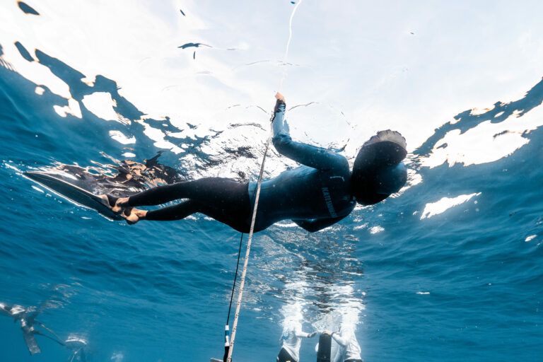 Фридайверка