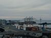 Погода в Одессе на ноябрь 2024: какими будут дни в городе у моря