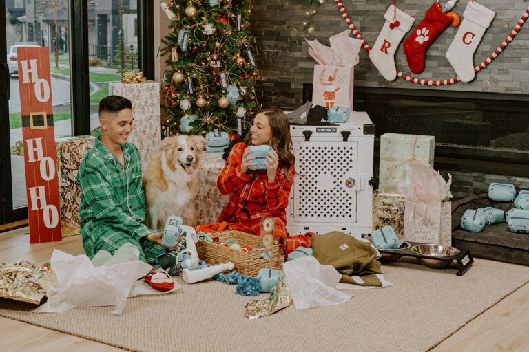 цікаві різдвяні подарунки