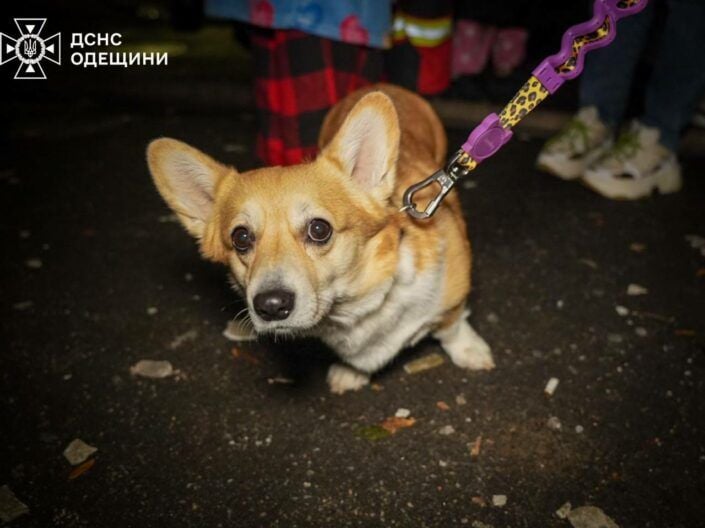 одесса новости