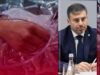 Никаких условий, это не обмены — Лубинец об эвакуации тяжелораненых пленных из России