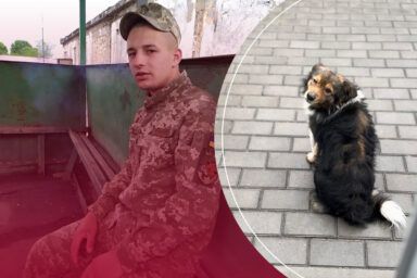 Фото к: История собаки из Ладыжинки, второй год ждет своего хозяина с фронта