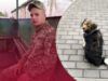 Два роки чекає на Льошку: історія песика, який щодня виглядає на АЗС загиблого господаря